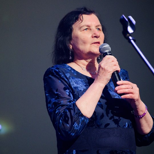 Iliustracija